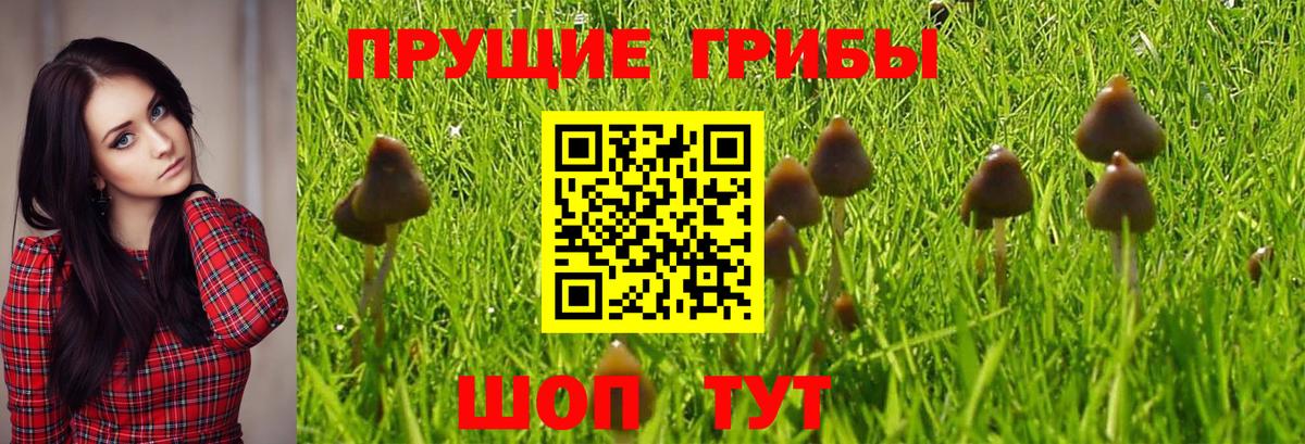 Туймазы  Галлюциногенные грибы ЛСД  Вход с VPN 